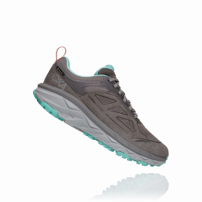 Hoka One One CHALLENGER LOW GORE-TEX Női Túracipő Szürke | 7RvzOS8b