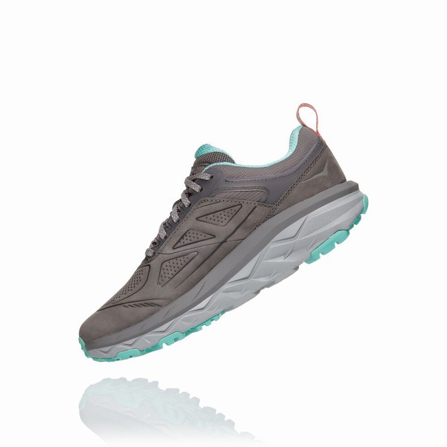 Hoka One One CHALLENGER LOW GORE-TEX Női Túracipő Szürke | 7RvzOS8b